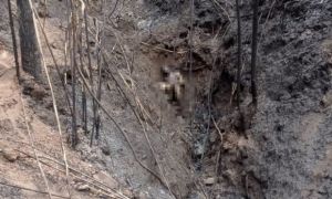 Điện Biên: Phát hiện thi thể ba bố con chết cháy trong khe núi