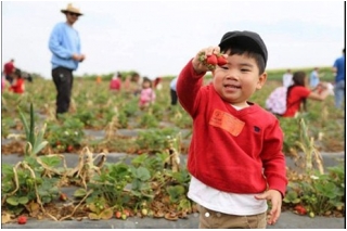 Trương Minh Cường chuẩn bị đón con thứ 2_0