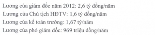 TPHCM: GĐ Công ty thoát nước, chiếu sáng đô thị lương tháng trên dưới 200 triệu đồng_0