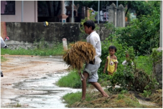 Nghệ An: Bộn bề âu lo sau trận lũ lịch sử_5