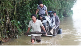 Cô lập trong lũ, dân đói rét, cầm hơi bằng mỳ gói_2