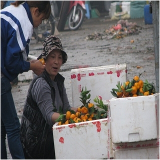 Quýt Trung Quốc rẻ như rau ở chợ Long Biên_4