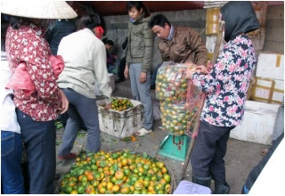 Vớ bở từ gánh hàng rong hoa quả Tàu_1