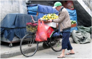 Vớ bở từ gánh hàng rong hoa quả Tàu_2