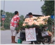 Bẩn độc trong tuần: Mỹ, Úc hóa ra... China