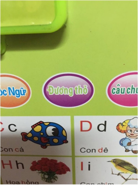 Sốc nặng truyện thiếu nhi Thỏ say thuốc lắc chạy khắp rừng_1