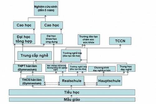 Hệ thống giáo dục ở Đức: Phân luồng ngay sau bậc tiểu học - 1