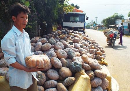 Nghịch lý chợ Tết: ngẩn ngơ vì được giá, “khóc thét” vì được mùa - 6