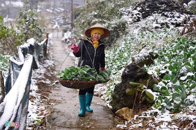 Tuyết phủ trắng trời: Nụ cười du khách, nước mắt nông dân - 13