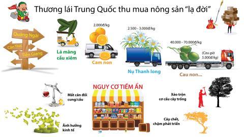 Nghịch lý trồng-chặt trong nông nghiệp: Dân không biết, tại ai? - 0