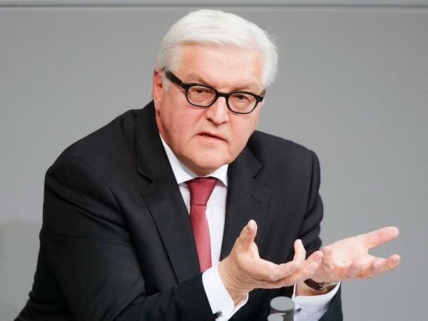 Ngoại trưởng Steinmeier  chỉ trích sự thiếu hợp tác giữa Nga và Ukraine - 0