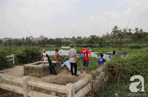 Công viên trăm tỉ ở trung tâm Sài Gòn thành nơi... trồng rau, nuôi chó - 9