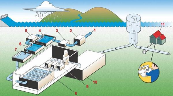 Nước lã ở Tây sạch đến mức độ nào? - 1