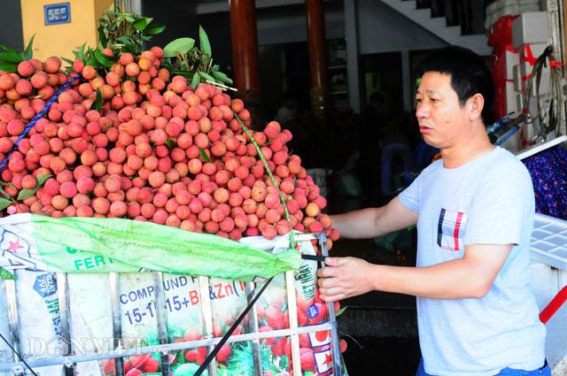 Thương lái Trung Quốc tràn ngập chợ vải thiều, ép giá nông dân - 0