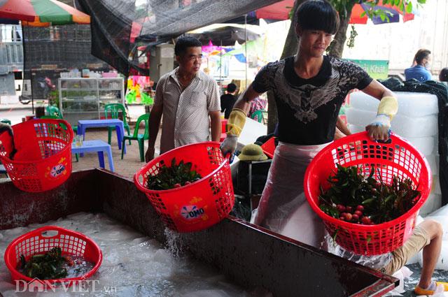 Thương lái Trung Quốc tràn ngập chợ vải thiều, ép giá nông dân - 11