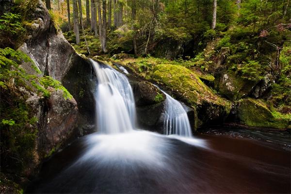 Black forest - Schwarzwald - Khu Rừng Đen huyền bí của nước Đức - 4