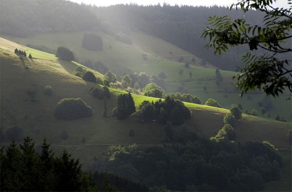 Black forest - Schwarzwald - Khu Rừng Đen huyền bí của nước Đức - 5