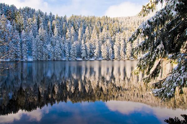 Black forest - Schwarzwald - Khu Rừng Đen huyền bí của nước Đức - 7