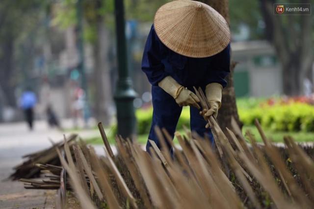 Hà Nội cắm chông ở công viên: Bảo vệ hoa hay bẫy người? - 6