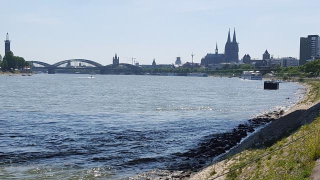 Köln: Nhảy xuống sông Rhein mất tích, cảnh sát nghi ngờ tự tử? - 0