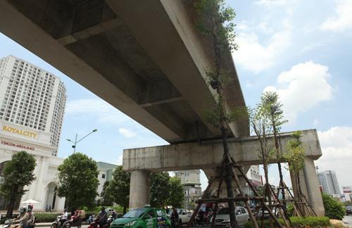 Những tuyến đường Hà Nội bị chặt cây xanh: Ngày ấy - Bây giờ - 16