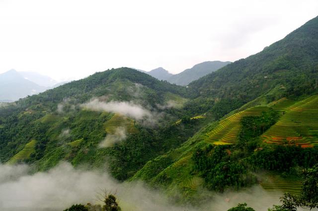 Ghé thăm ruộng bậc thang đẹp nhất thế giới ngay tại Việt Nam - 3