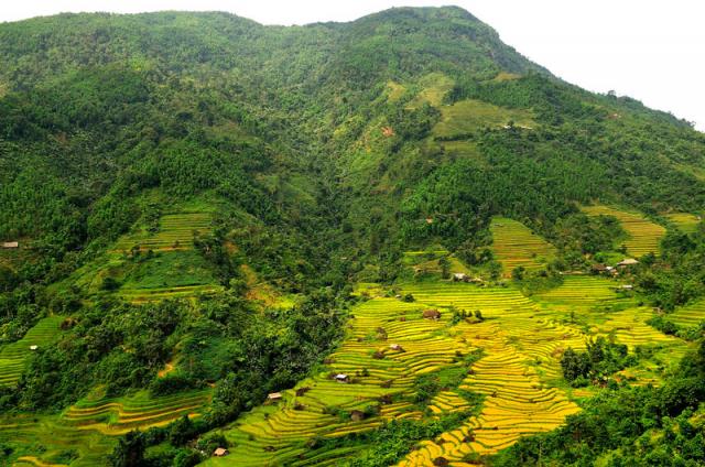 Ghé thăm ruộng bậc thang đẹp nhất thế giới ngay tại Việt Nam - 6