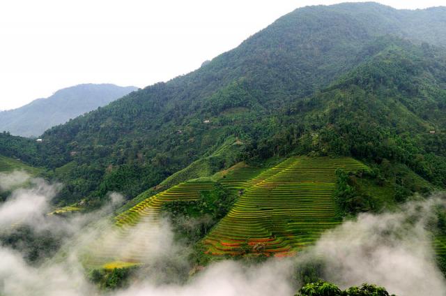 Ghé thăm ruộng bậc thang đẹp nhất thế giới ngay tại Việt Nam - 8