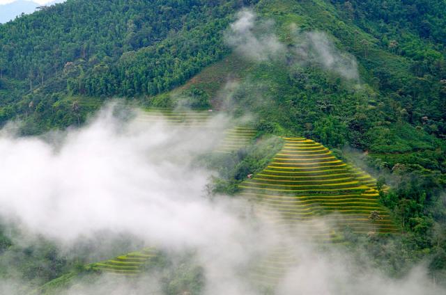 Ghé thăm ruộng bậc thang đẹp nhất thế giới ngay tại Việt Nam - 9