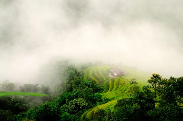 Ghé thăm ruộng bậc thang đẹp nhất thế giới ngay tại Việt Nam - 10