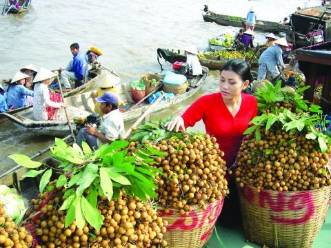 Cảnh báo đỏ hàng Việt bị Mỹ trả về: Làm ẩu quá! - 0