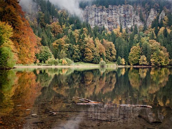 Dạo quanh khu Rừng Đen -Black Forest huyền bí ở Đức - 0