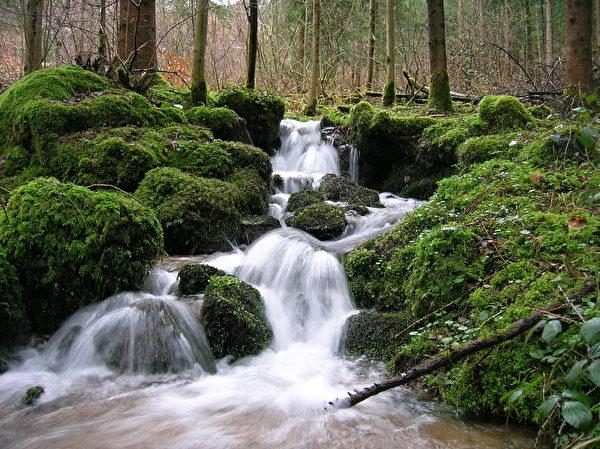 Dạo quanh khu Rừng Đen -Black Forest huyền bí ở Đức - 9