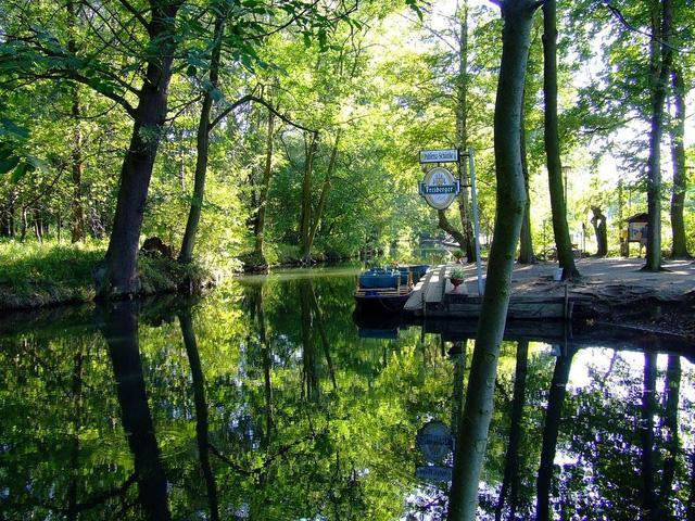 Điểm đến Spreewald ở Berlin - Venice của nước Đức - 2