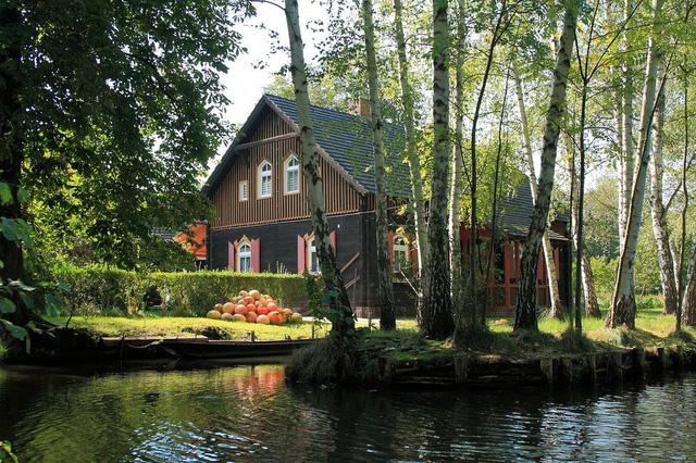 Điểm đến Spreewald ở Berlin - Venice của nước Đức - 5