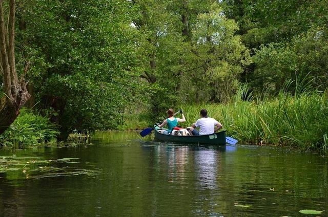 Điểm đến Spreewald ở Berlin - Venice của nước Đức - 6