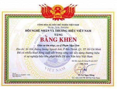 Phong giáo sư âm nhạc cho Ngọc Sơn: Trò PR rẻ tiền - 1