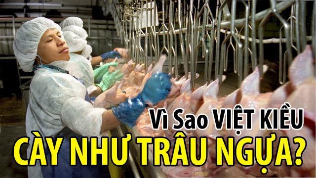 Những nỗi đắng cay của người Việt tha hương - 0