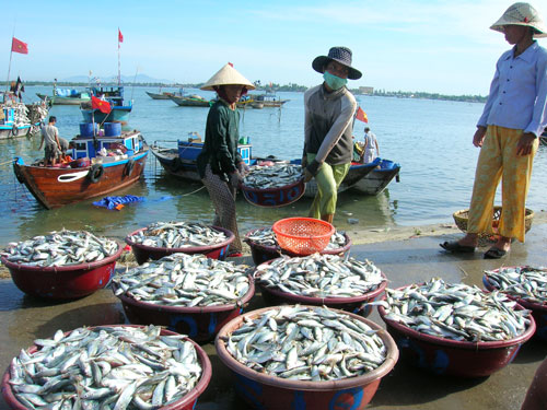 Liên minh châu Âu dự định xem xét rút thẻ vàng đối với thủy sản Việt Nam - 0