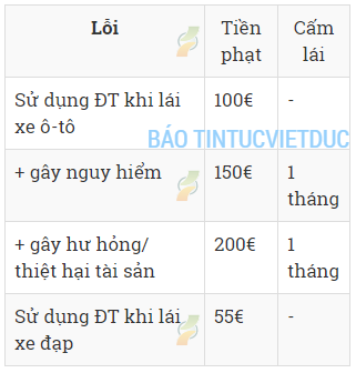 luat giao thong moi o duc 11