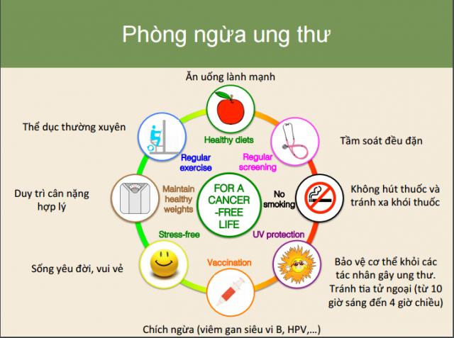 11 gợi ý phòng chống ung thư của TS Việt được vinh danh tại Mỹ - 1