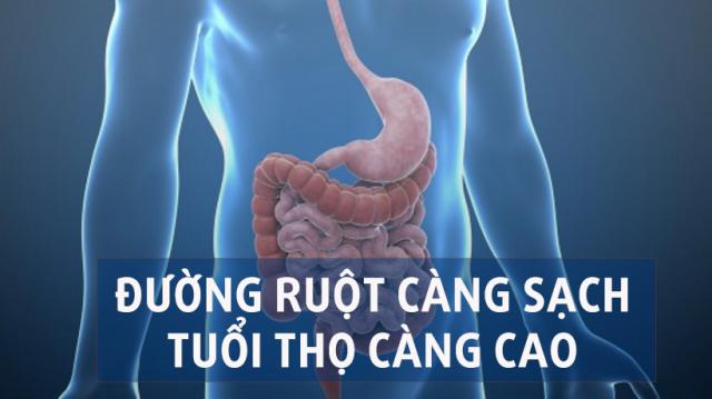 Cổ nhân dạy “nếu không muốn chết, ruột đừng có cặn” và đây là 3 cách làm sạch ruột bạn phải biết - 0