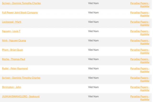 Hàng loạt đại gia Việt trong Hồ sơ Paradise vào tầm ngắm của Tổng cục Thuế  - 1
