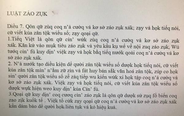 Tác giả đề xuất cải cách tiếng Việt Luật giáo dục thành Luật záo zụk: Có người nói tôi rửng mỡ - 1