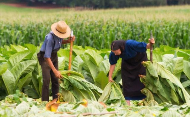 Tộc người kỳ lạ nhất thế giới: Không bị ung thư, tự kỷ nhờ cách ly thế giới văn minh - 3