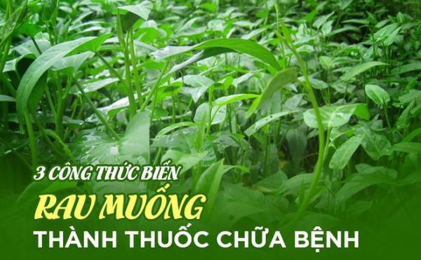 Rau muống kết hợp với thực phẩm này sẽ trở thành thuốc quý chữa 3 bệnh nguy hiểm - 0