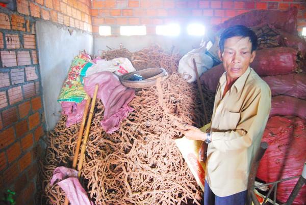 Chiêu ‘mua rễ hồ tiêu’ của thương lái Trung Quốc tái xuất tại VN - 0