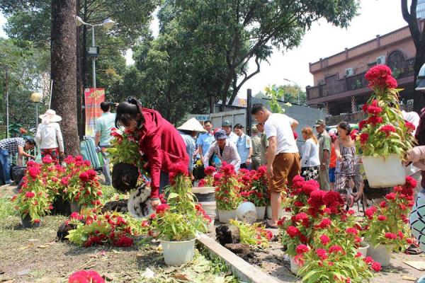 Hàng trăm chậu hoa bị đập bỏ ở chợ hoa lớn nhất Sài Gòn - 7