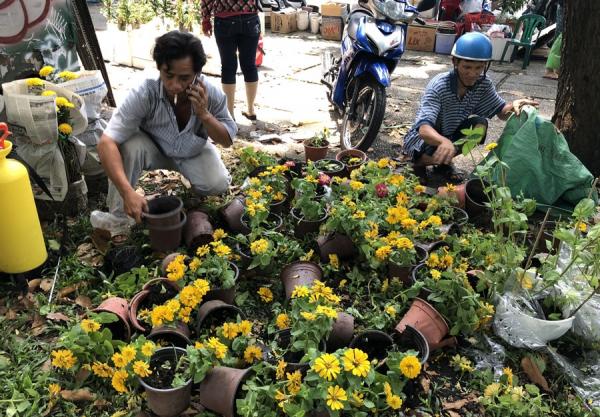 Hàng trăm chậu hoa bị đập bỏ ở chợ hoa lớn nhất Sài Gòn - 8