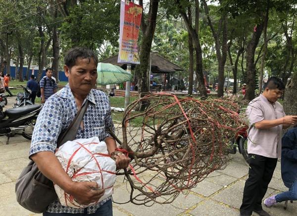 Hàng trăm chậu hoa bị đập bỏ ở chợ hoa lớn nhất Sài Gòn - 14